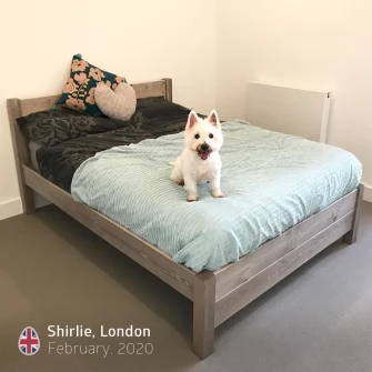 https://www.getlaidbeds.co.uk//image/cache-n/data/Monthly Photo Compeition/2020 - Feb/Shirlie - Ready-335x335.webp
